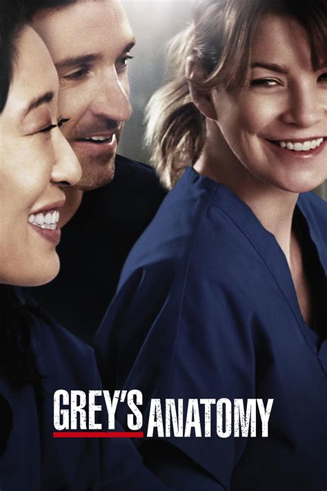 grey's anatomy season 10 bdscr|Grey's Anatomy (TV Series 2005– ) .